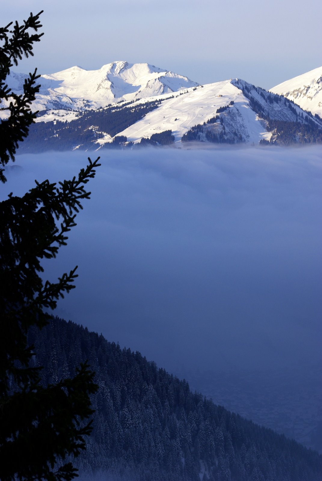 http://www.walcome.net/hfr/Picture%20086.jpg