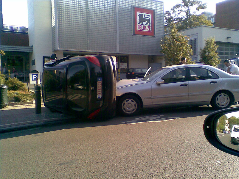 http://www.walcome.net/hfr/pigeot.jpg